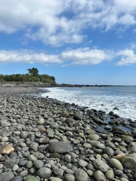 1731420951967.jpg?type=w466