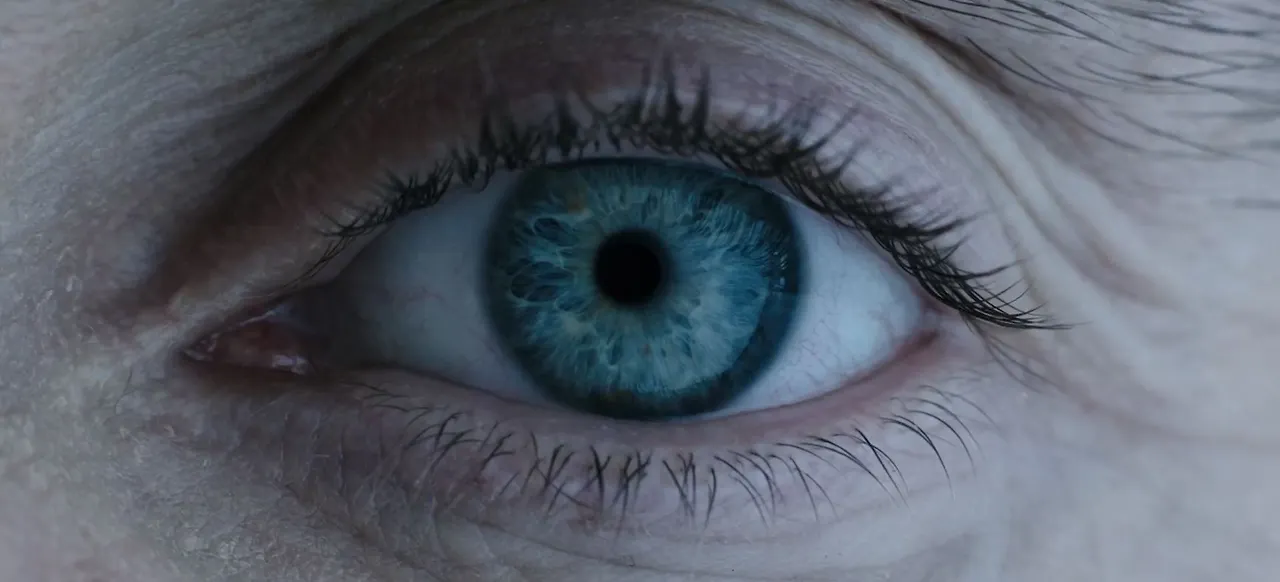 파스밴더의 눈.JPG