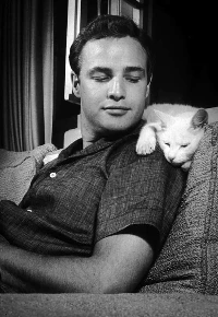 marlon-brando-recording-artists-and-groups-photo-u71.jfif