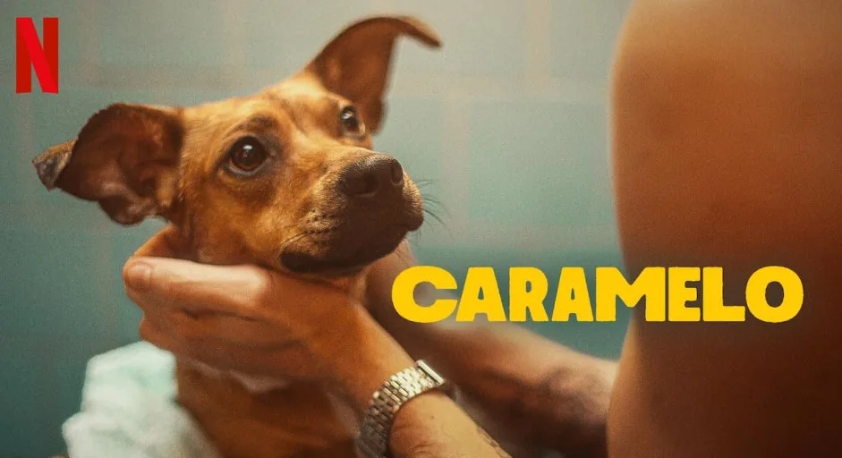 ?src=http%3A%2F%2Fblogfiles.naver.net%2FMjAyNTEwMTdfMTg3%2FMDAxNzYwNjkwMDc2Mjky.2SyW9JR5WU06N3gsU50AWfg3m7g49AmItDWe1IGz4NIg.s2gK61re6kVgkRe8Df3T9WbSusVAE_vYBeU7-6ELihog.PNG%2F%25BD%25BA%25C5%25A9%25B8%25B0%25BC%25A6_2025-10-17_171455.png&type=sc960_832