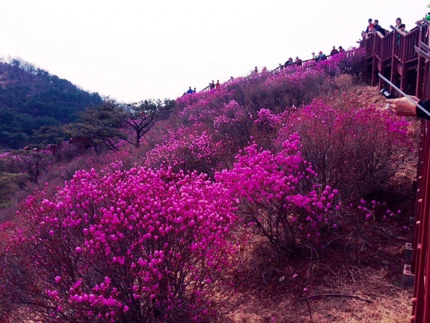 P20150412_124513000_0A404722-9C63-4486-887F-3063768BA303 (1).JPG