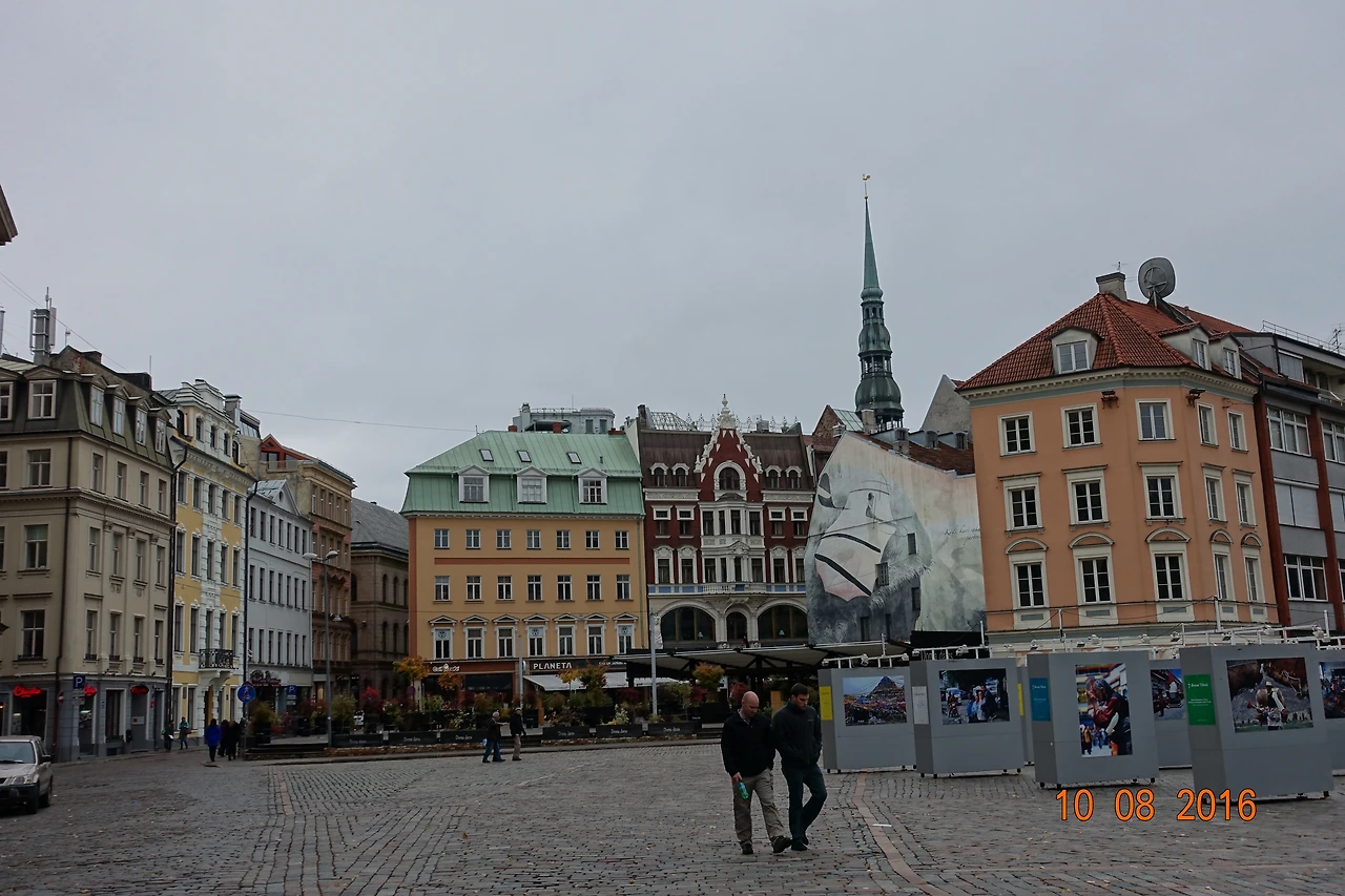 DSC01982 - 복사본.JPG