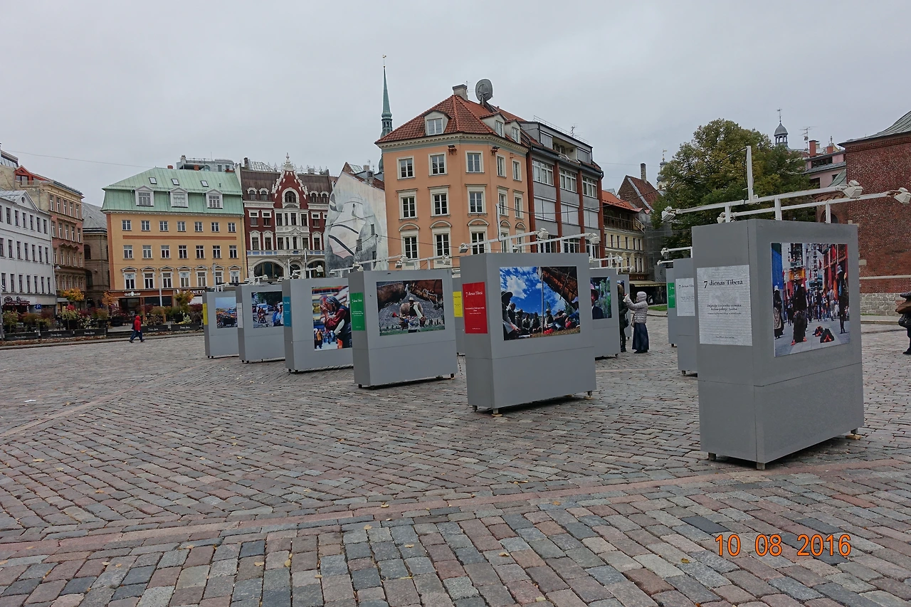 DSC01985 - 복사본.JPG