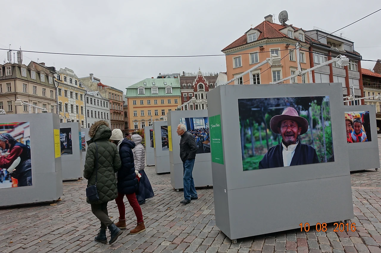 DSC01986 - 복사본.JPG