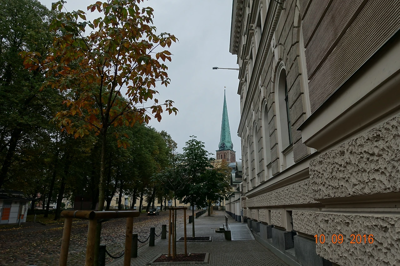 DSC02006 - 복사본.JPG