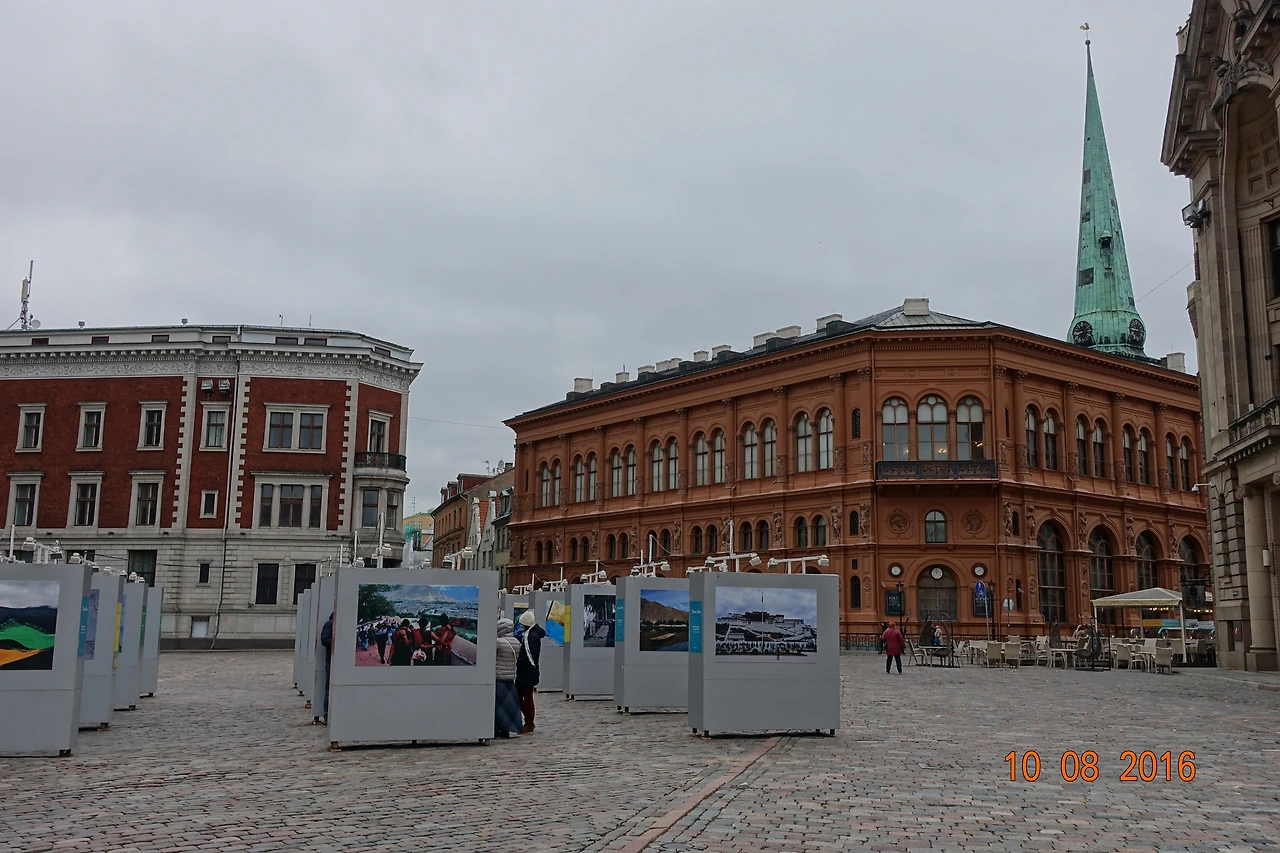 DSC01987 - 복사본.JPG