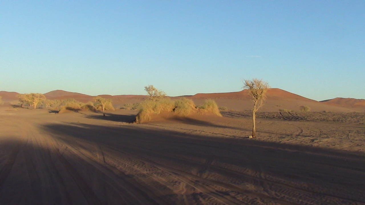 IMG_6232 - 복사본.JPG