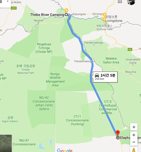 코끼리 샌드.PNG