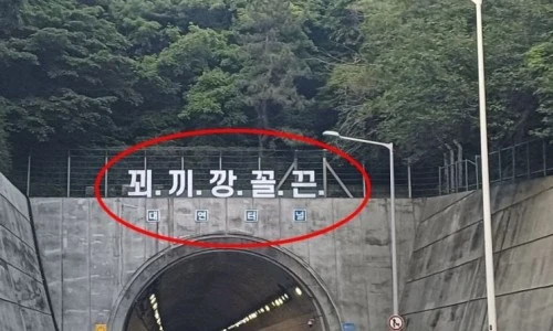 ?src=%22https%3A%2F%2Fimgnews.pstatic.net%2Fimage%2F277%2F2024%2F05%2F23%2F0005422151_001_20240523100403990.jpg%3Ftype%3Dw800%22&type=ff500_300