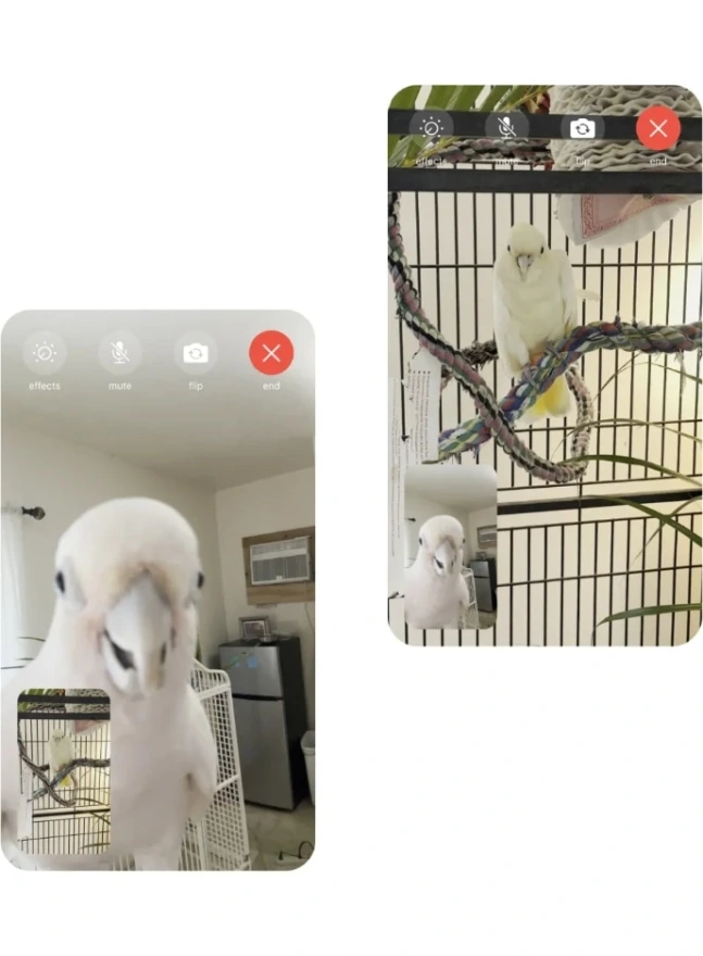 0003759437_002_20230424041303284.jpg?type=w647