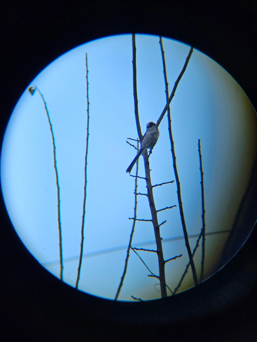 20241024%EF%BC%BF163141%EF%BC%880%EF%BC%89.jpg?type=w966