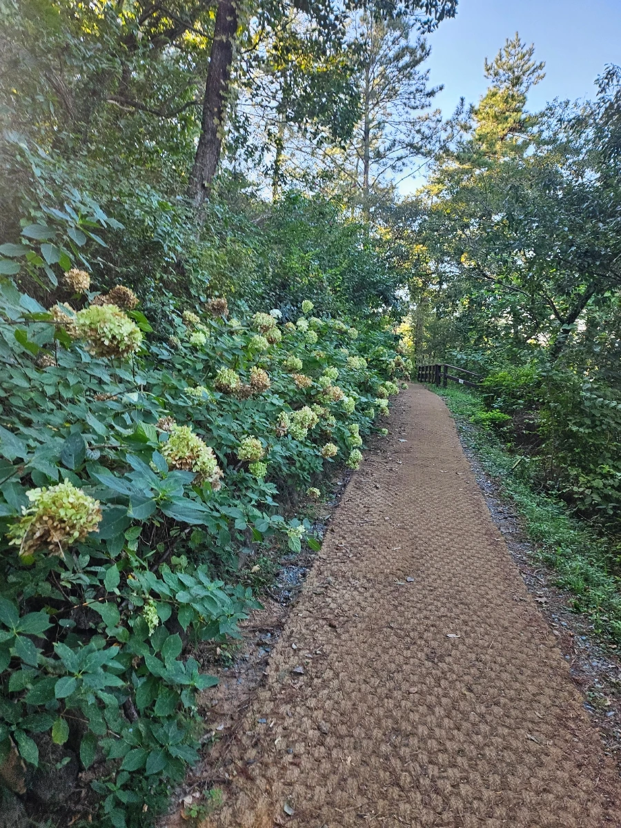 20241005%EF%BC%BF154405.jpg?type=w966