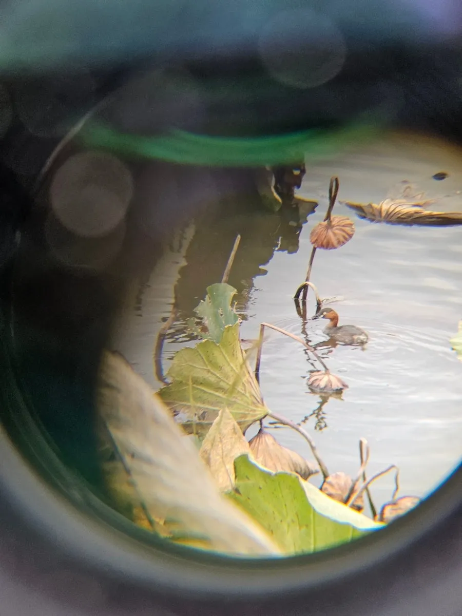 20241021%EF%BC%BF135943.jpg?type=w966