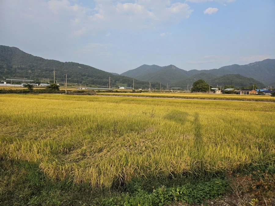 20241008%EF%BC%BF164916.jpg?type=w966