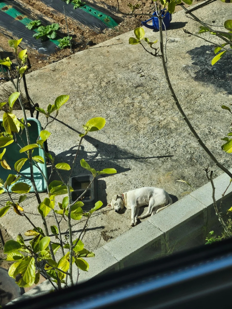 20241005%EF%BC%BF102052.jpg?type=w966