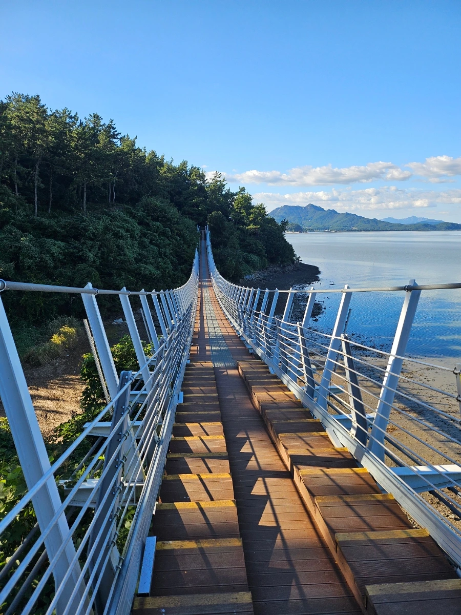 20241005%EF%BC%BF155332%EF%BC%880%EF%BC%89.jpg?type=w966