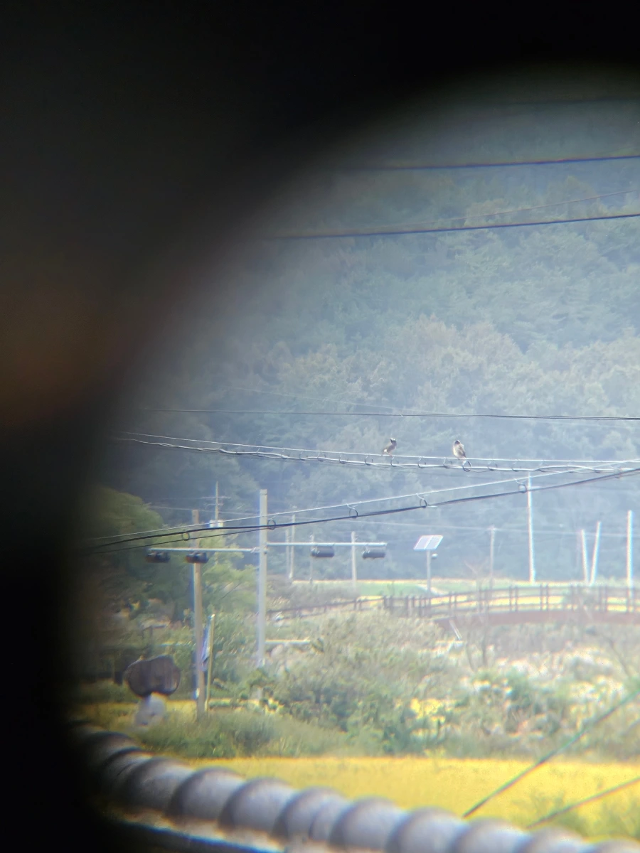 20241003%EF%BC%BF083435.jpg?type=w966