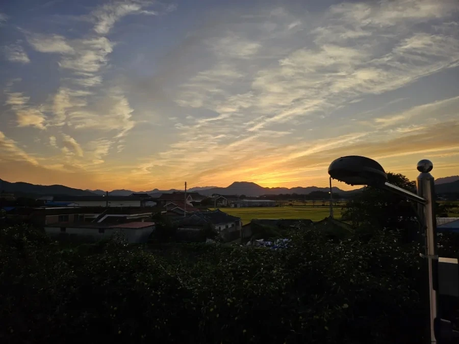 20241002%EF%BC%BF180907.jpg?type=w966