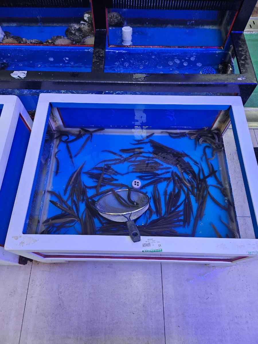 20241008%EF%BC%BF183232.jpg?type=w966