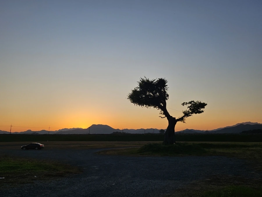 20241024%EF%BC%BF173843.jpg?type=w966