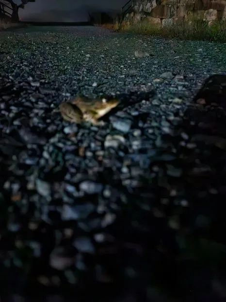 20241003%EF%BC%BF214529.jpg?type=w466