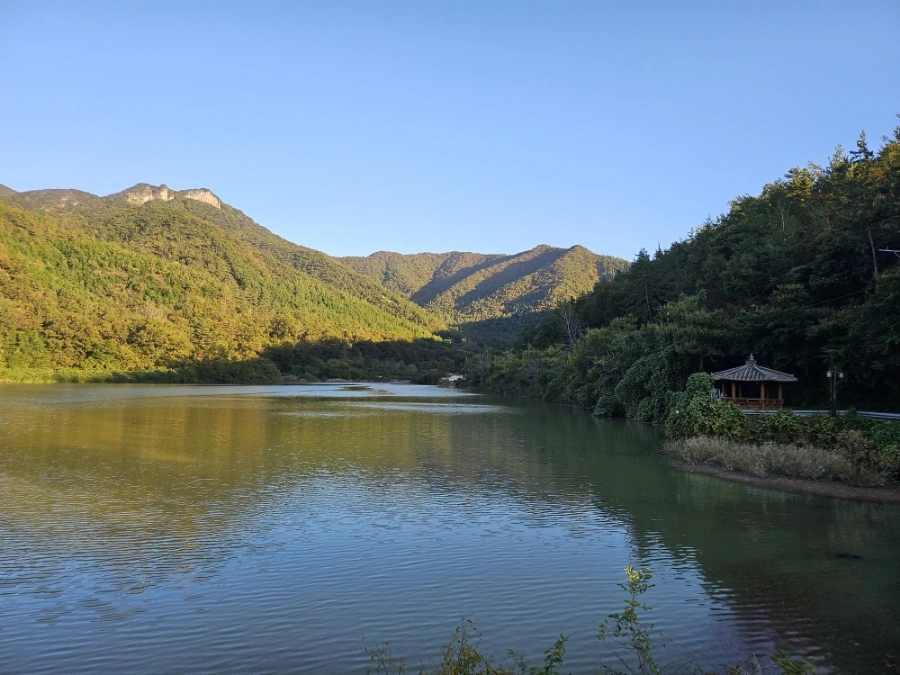 20241024%EF%BC%BF165246.jpg?type=w966