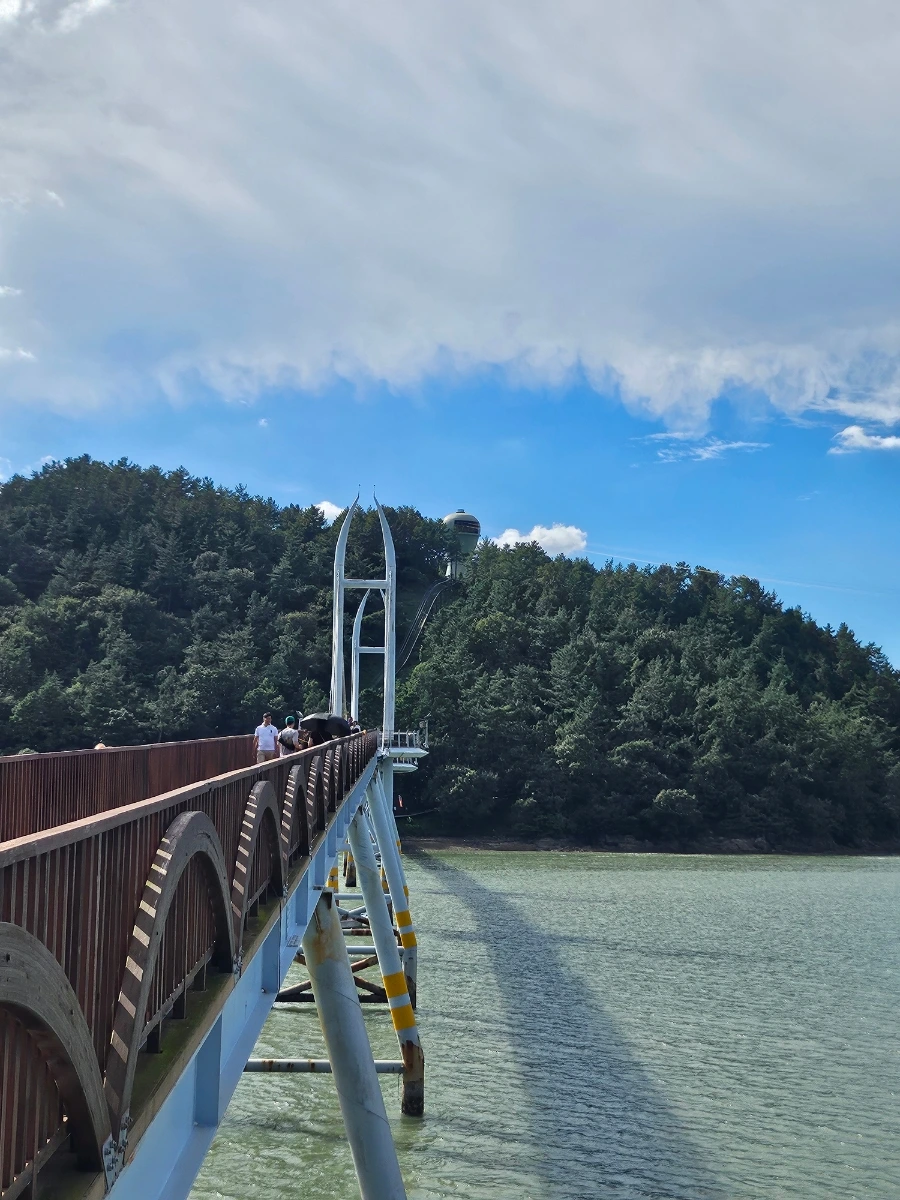 20241005%EF%BC%BF142810.jpg?type=w966