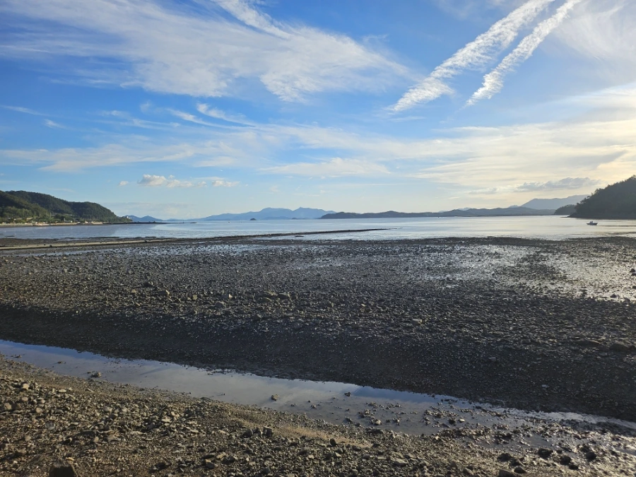 20241005%EF%BC%BF165914.jpg?type=w966