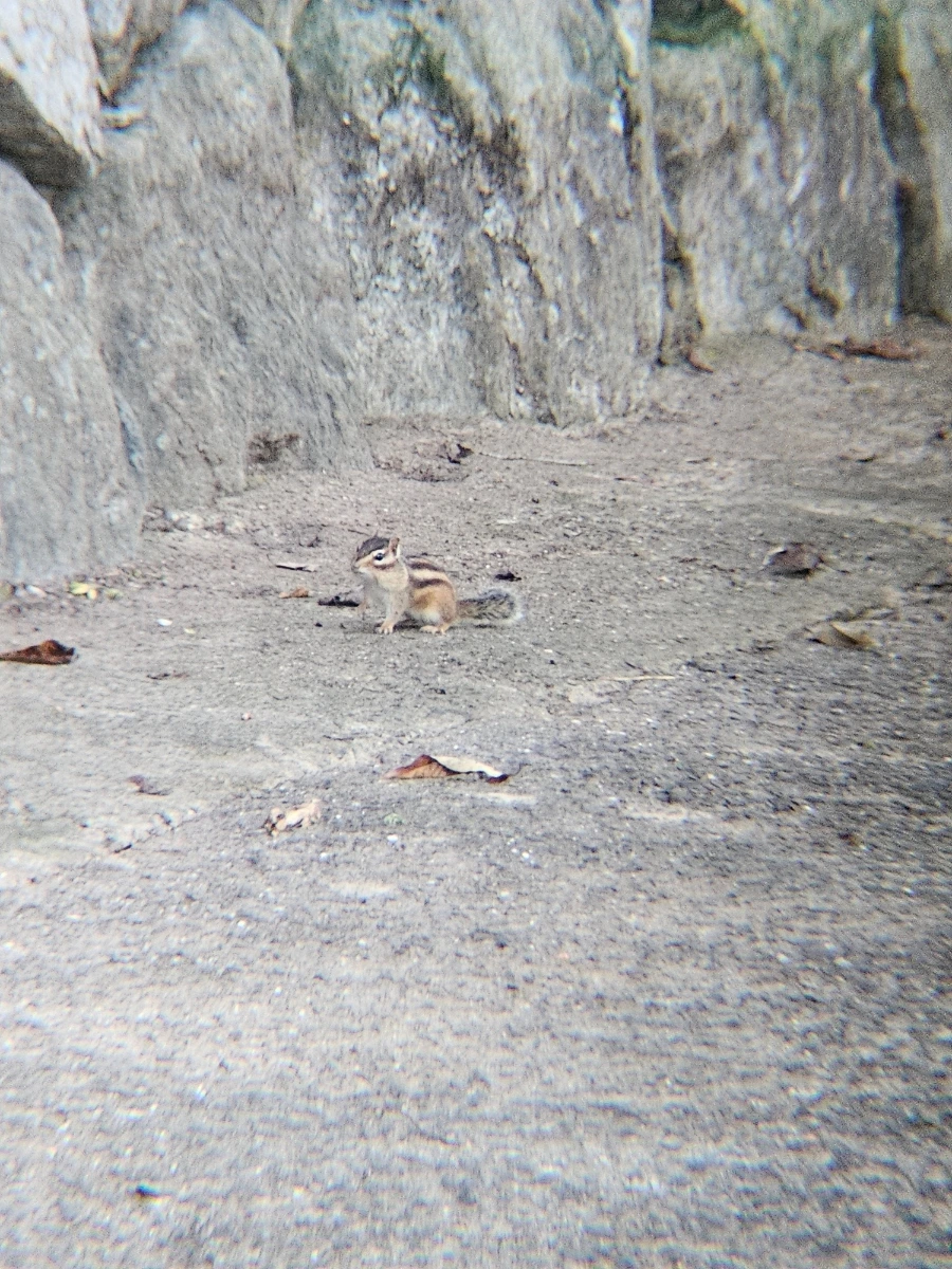 20241026%EF%BC%BF162817%EF%BC%880%EF%BC%89.jpg?type=w966