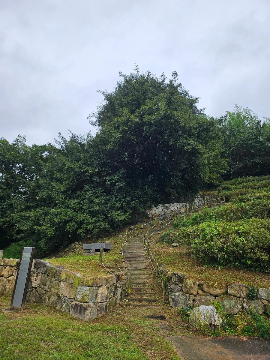 20241003%EF%BC%BF151710.jpg?type=w966