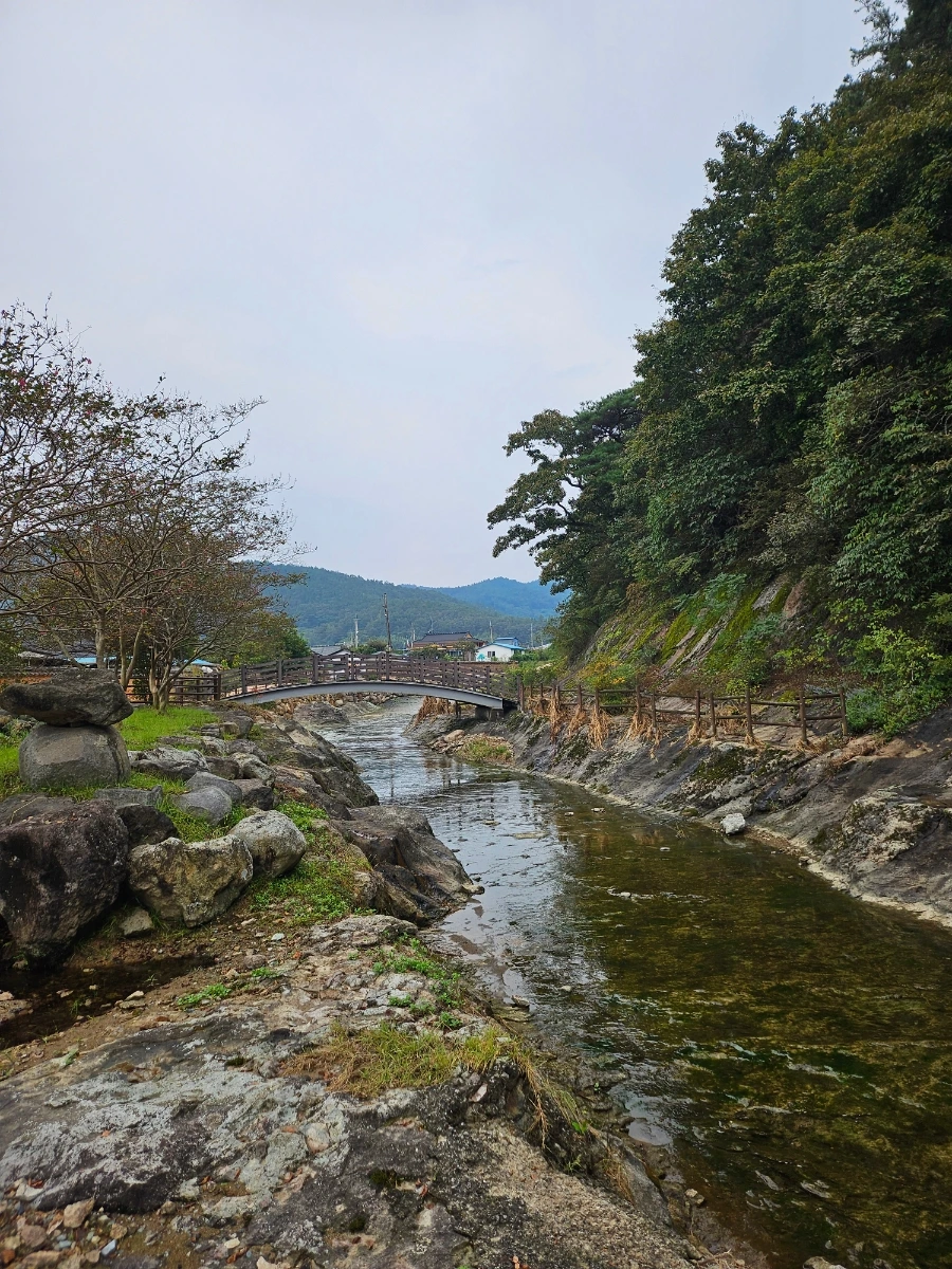 20241007%EF%BC%BF133214.jpg?type=w966