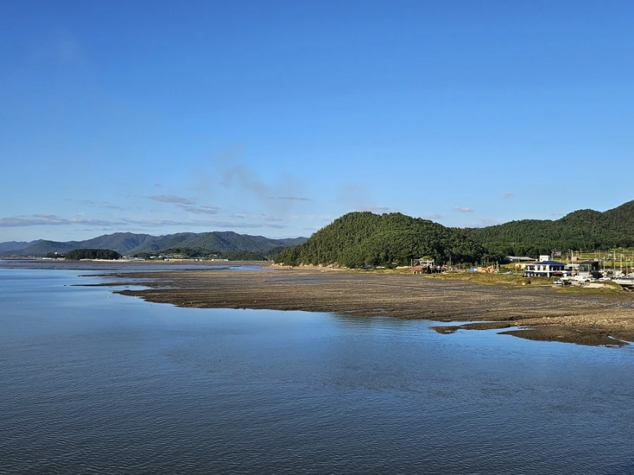 20241005%EF%BC%BF165340.jpg?type=w966