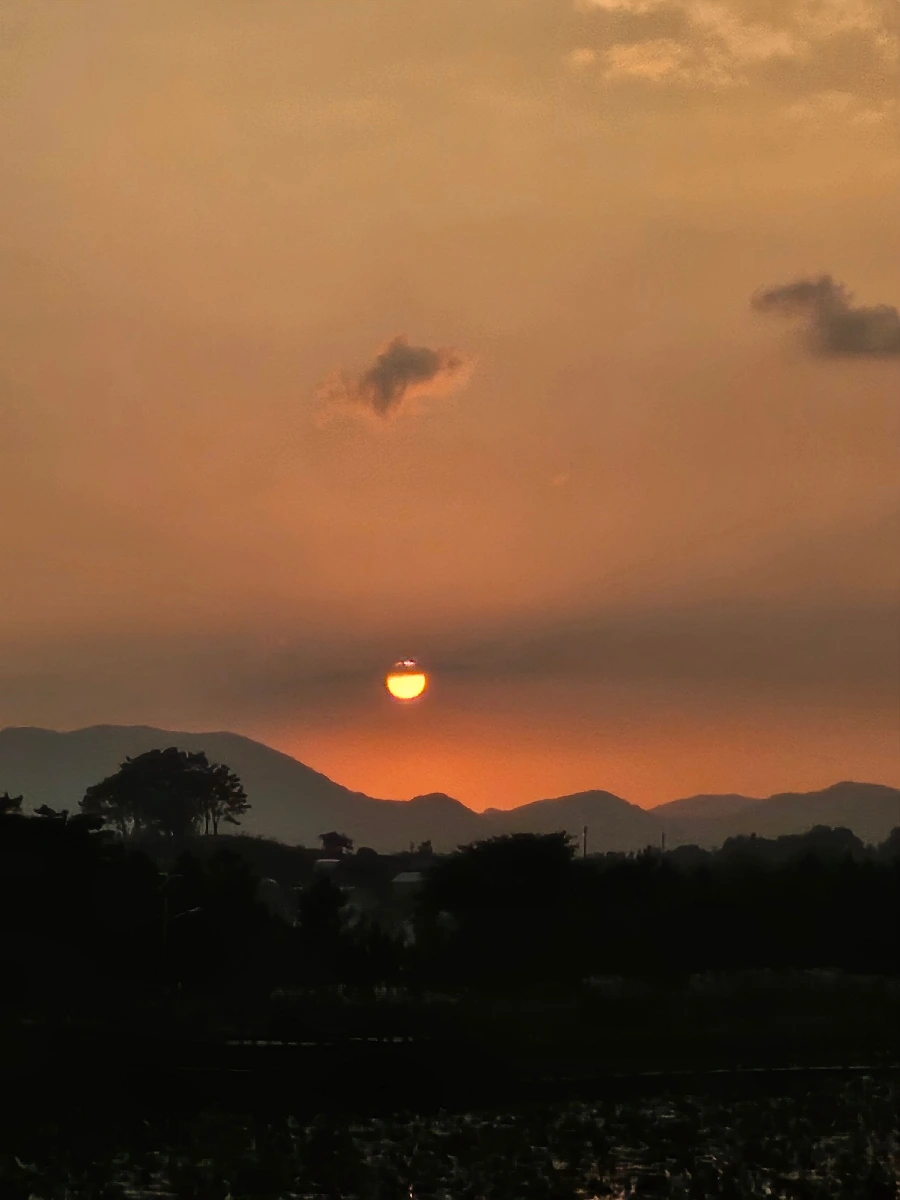 20241008%EF%BC%BF174707.jpg?type=w966