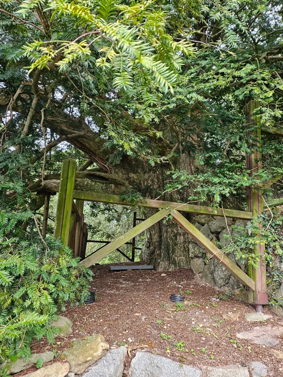 20241003%EF%BC%BF152112.jpg?type=w966