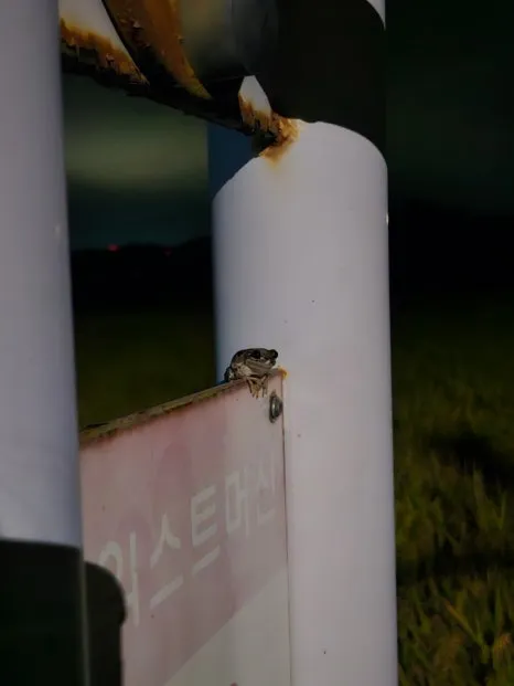 20241006%EF%BC%BF201510.jpg?type=w466