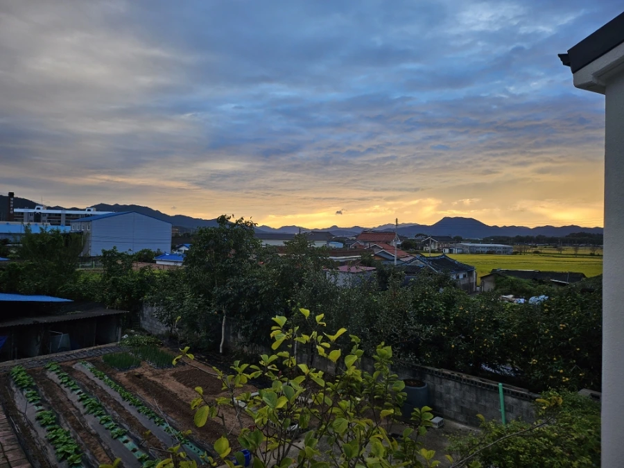 20241003%EF%BC%BF174053.jpg?type=w966