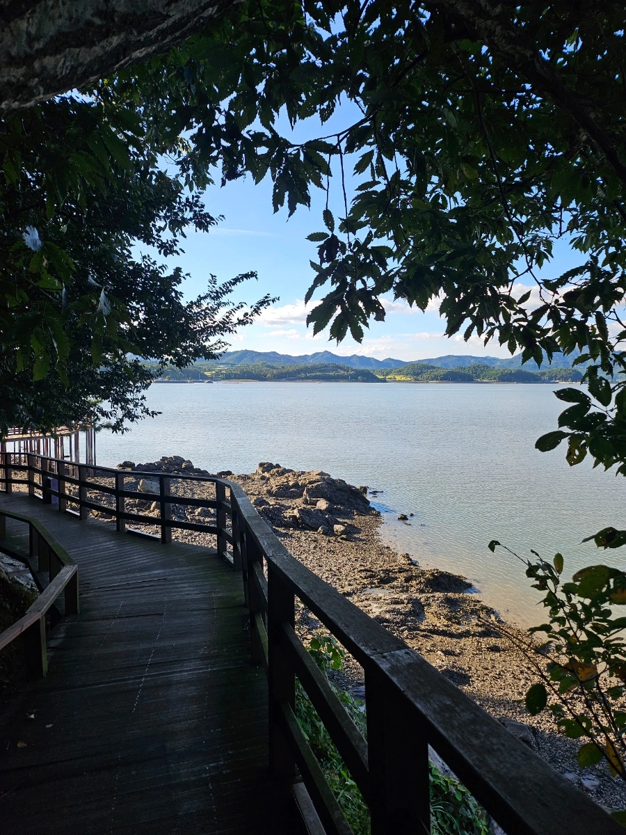 20241005%EF%BC%BF160453.jpg?type=w966