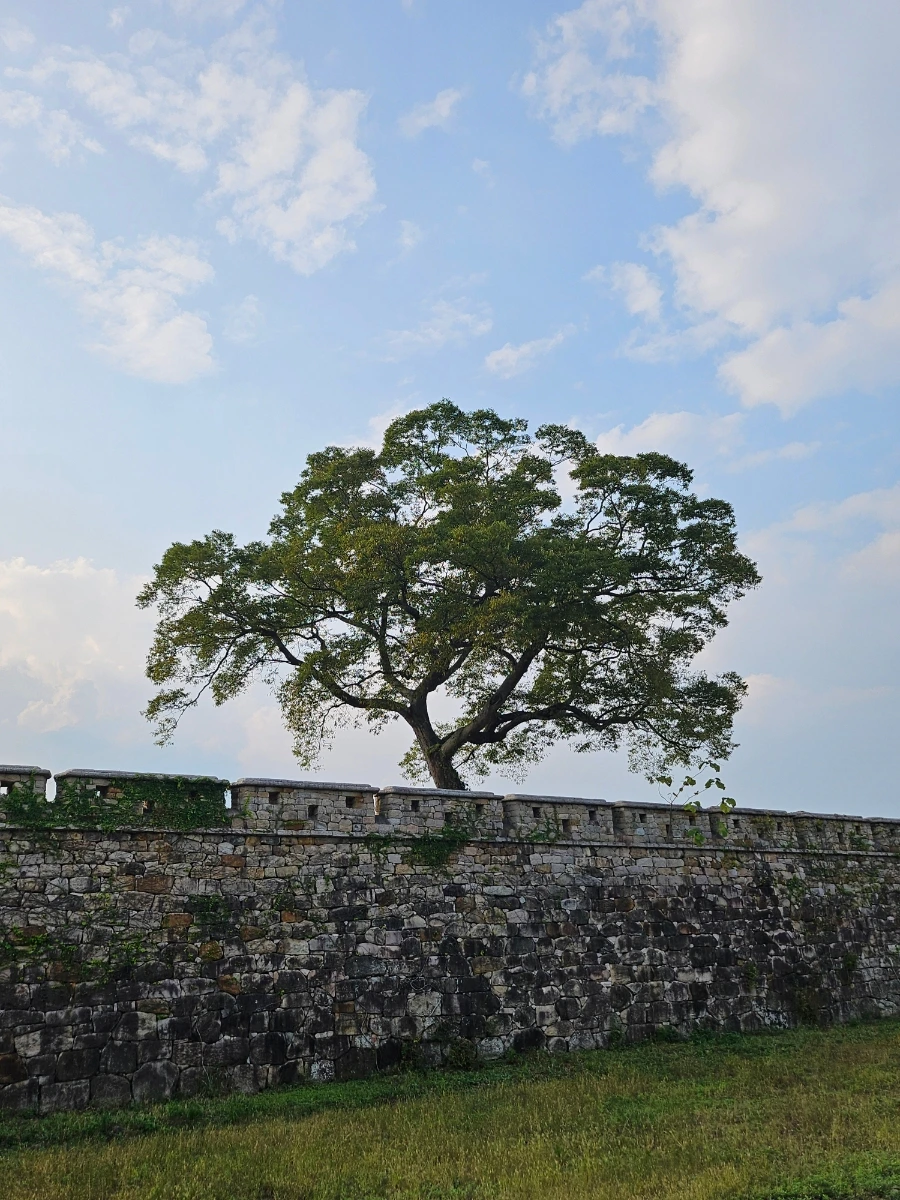 20241008%EF%BC%BF163927.jpg?type=w966