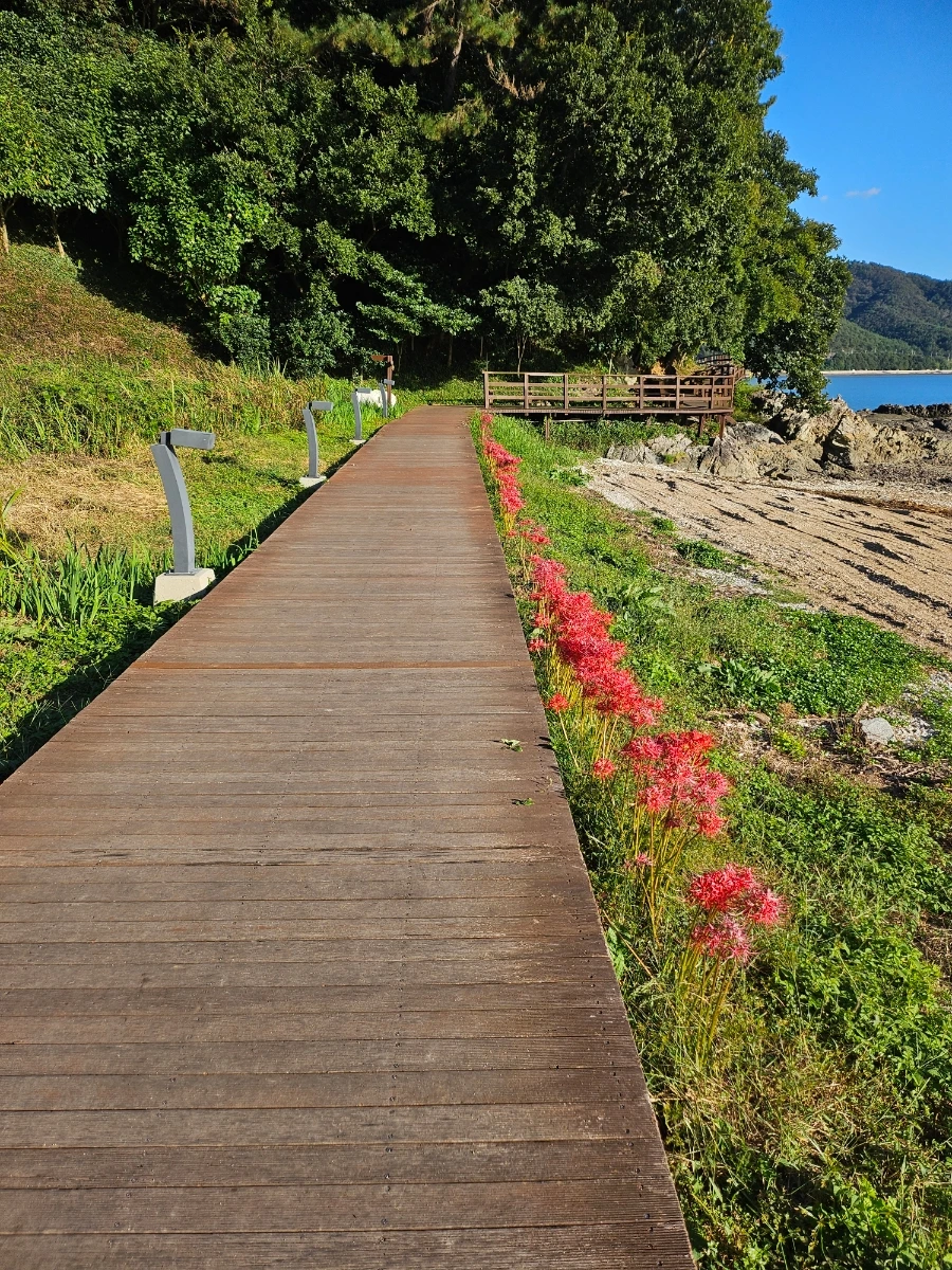 20241005%EF%BC%BF163227.jpg?type=w966