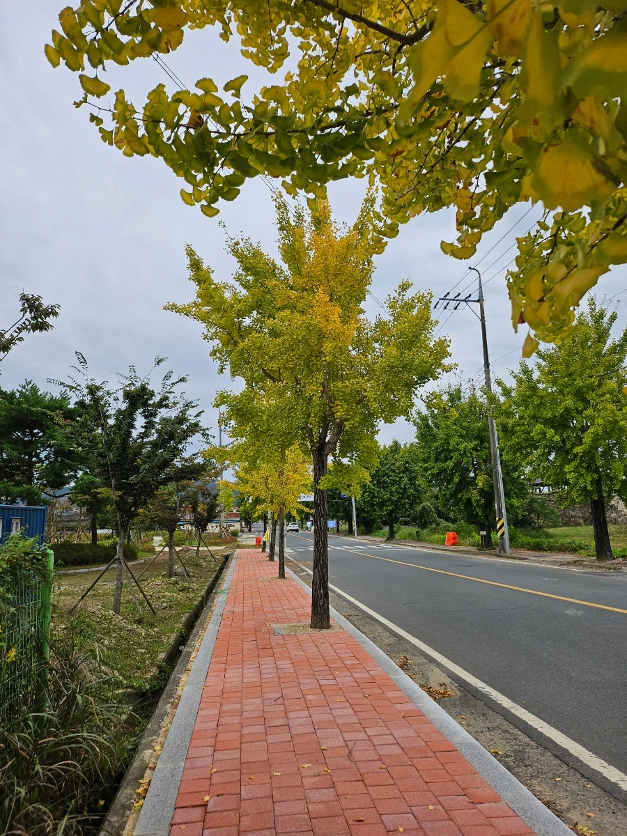 20241006%EF%BC%BF131001.jpg?type=w966