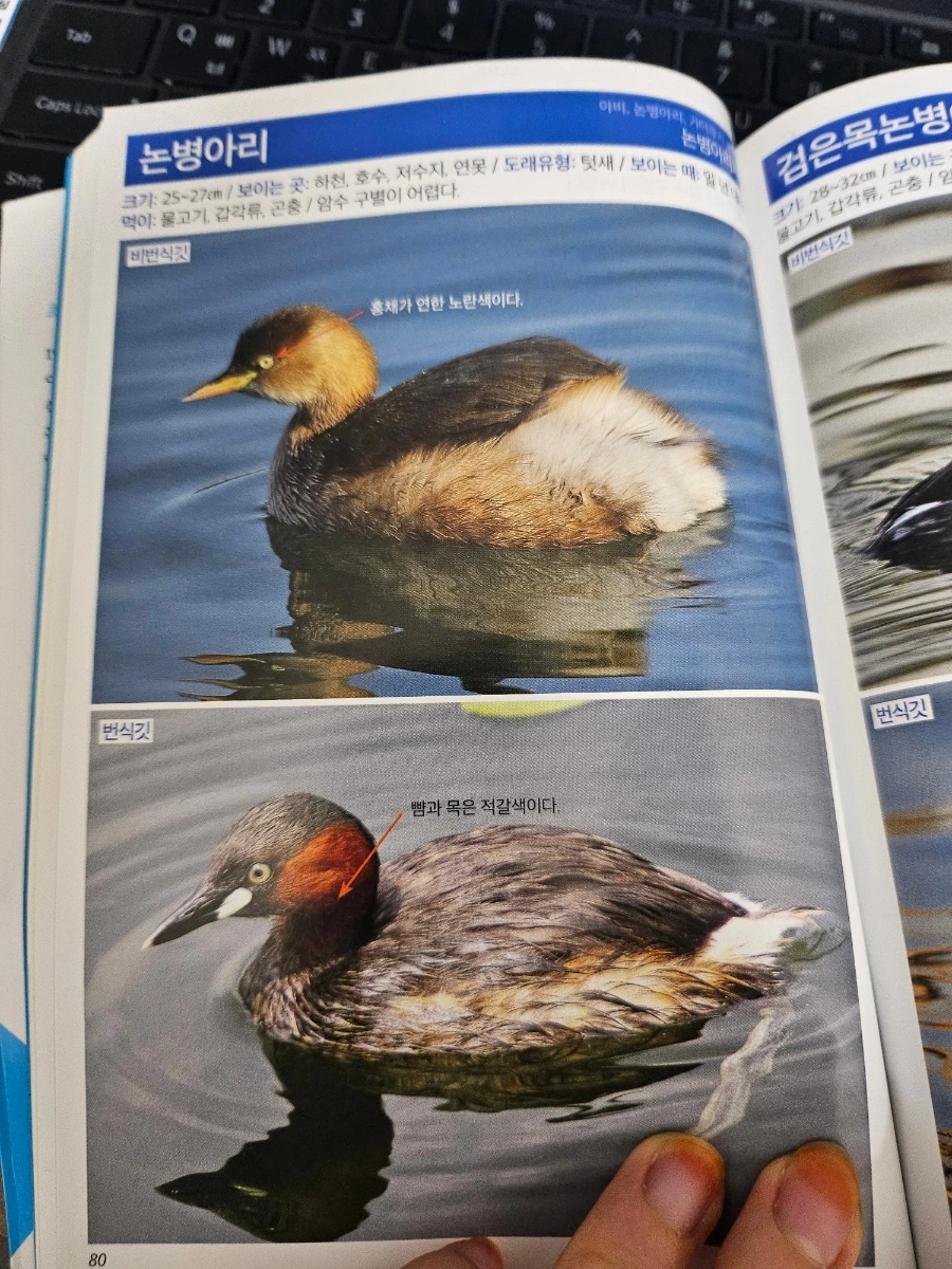 20241022%EF%BC%BF013650.jpg?type=w966