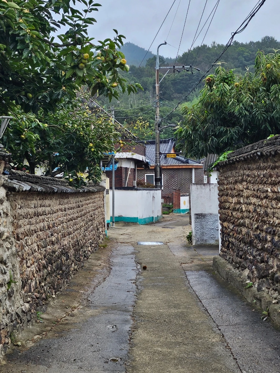 20241003%EF%BC%BF151146.jpg?type=w966