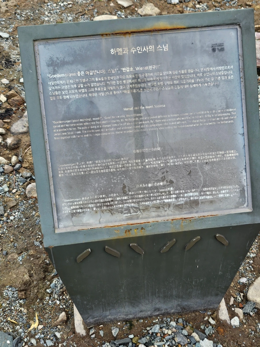 20241007%EF%BC%BF134157.jpg?type=w966