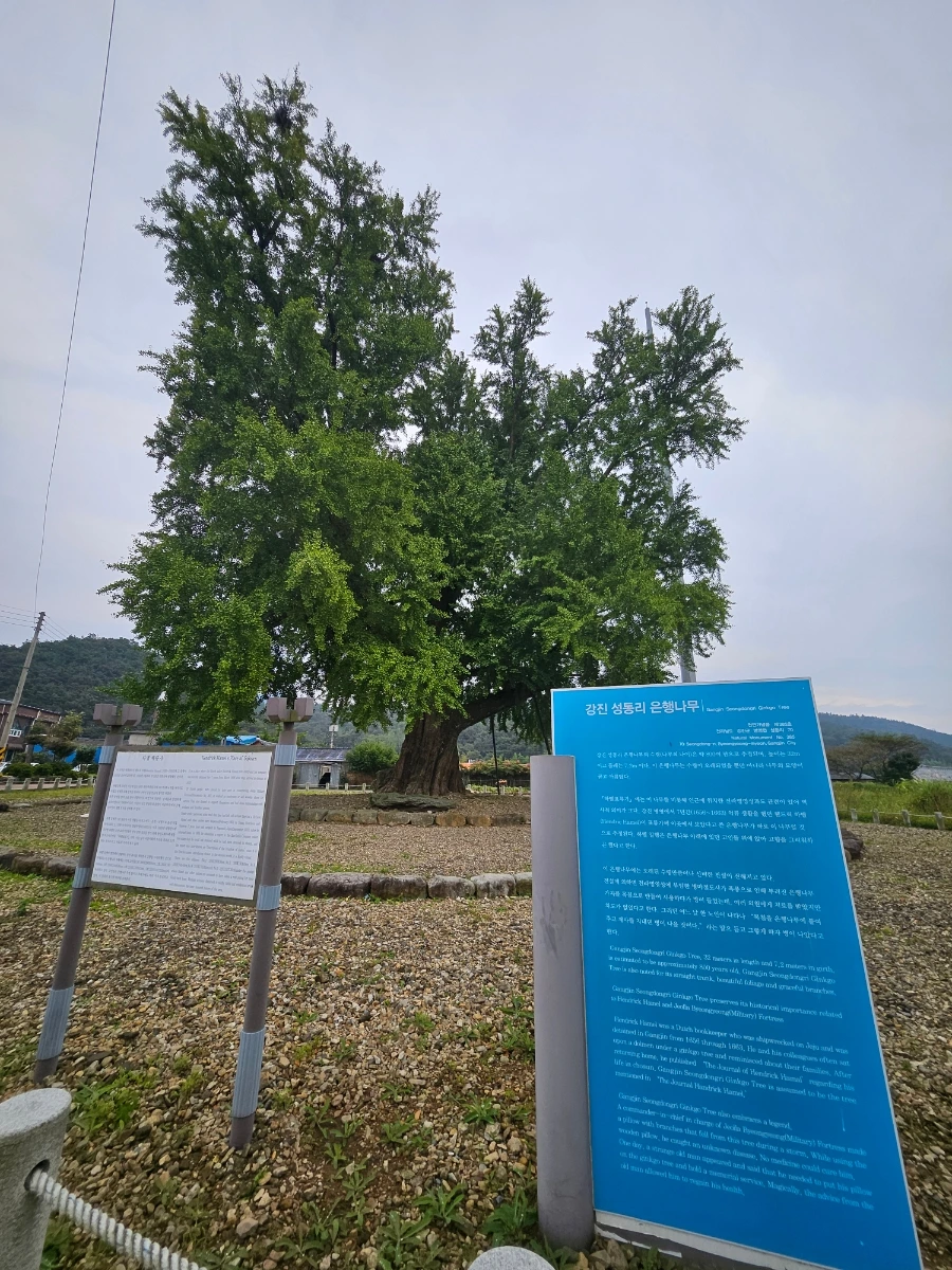 20241007%EF%BC%BF135352.jpg?type=w966