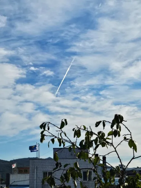 20241002%EF%BC%BF163759.jpg?type=w466