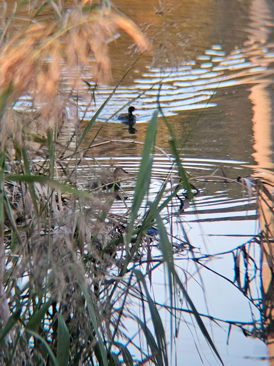 20241026%EF%BC%BF172814.jpg?type=w966