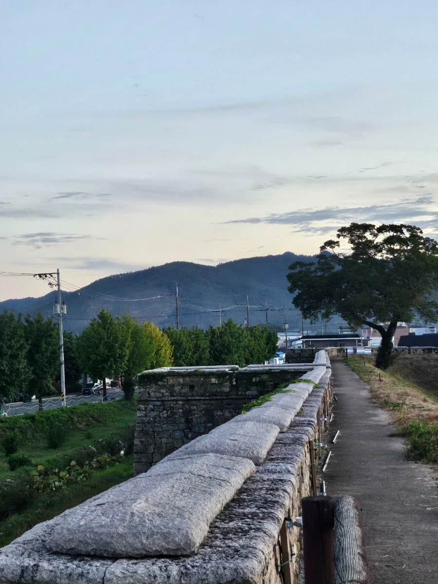 20241005%EF%BC%BF181557.jpg?type=w966