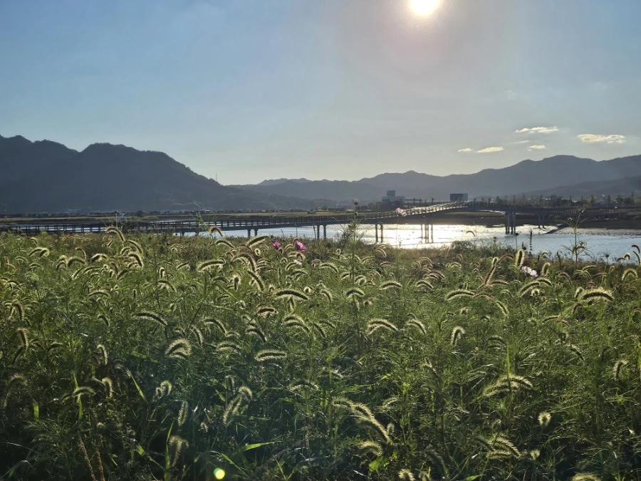 20241004%EF%BC%BF170206.jpg?type=w966