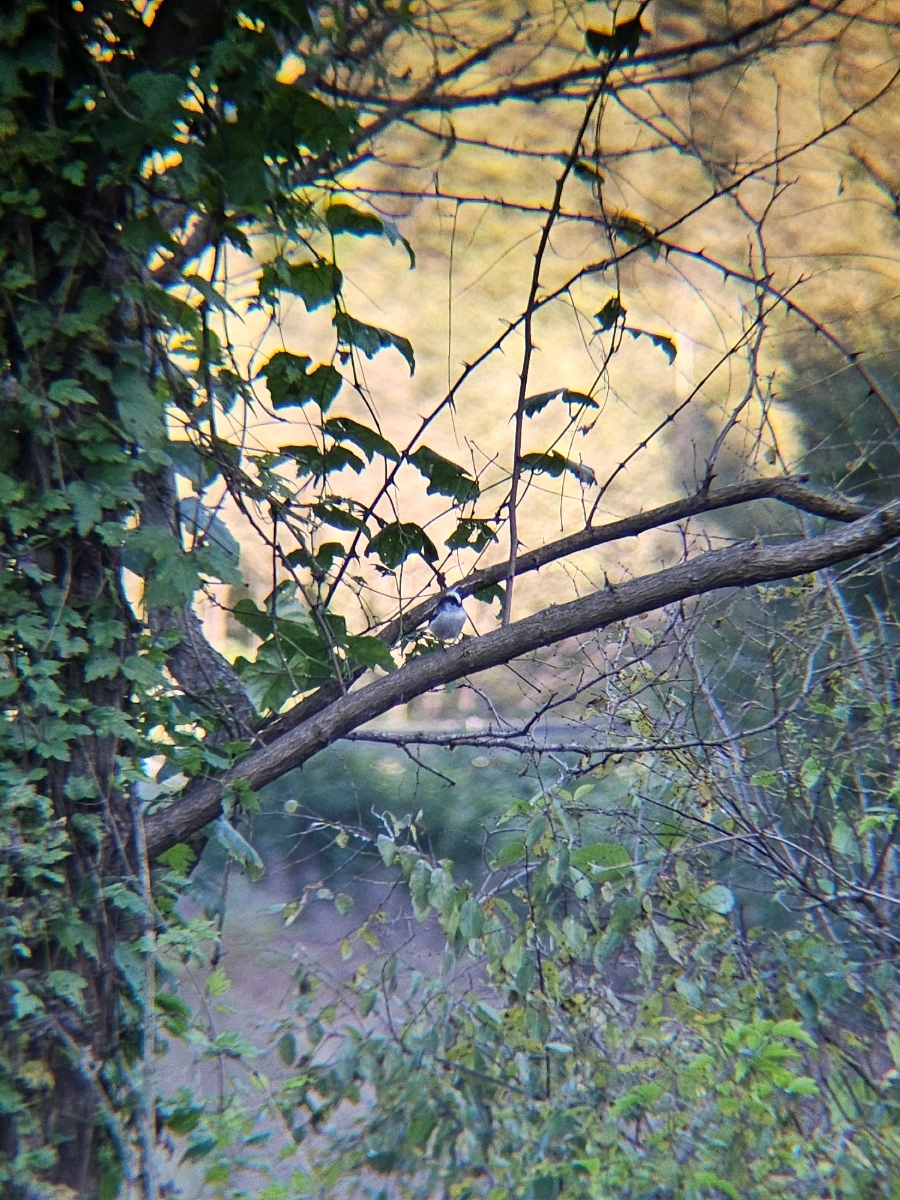 20241024%EF%BC%BF161013.jpg?type=w966