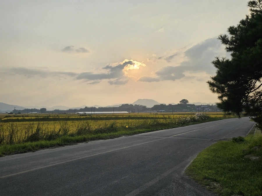 20241008%EF%BC%BF170934.jpg?type=w966